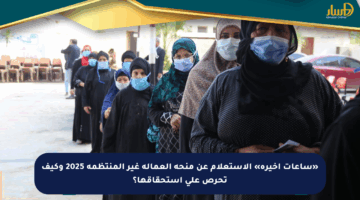 «ساعات أخيرة» الاستعلام عن منحة العمالة غير المنتظمة 2025 وكيف تحرص على استحقاقها؟